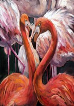 Flamingos_600px.jpg